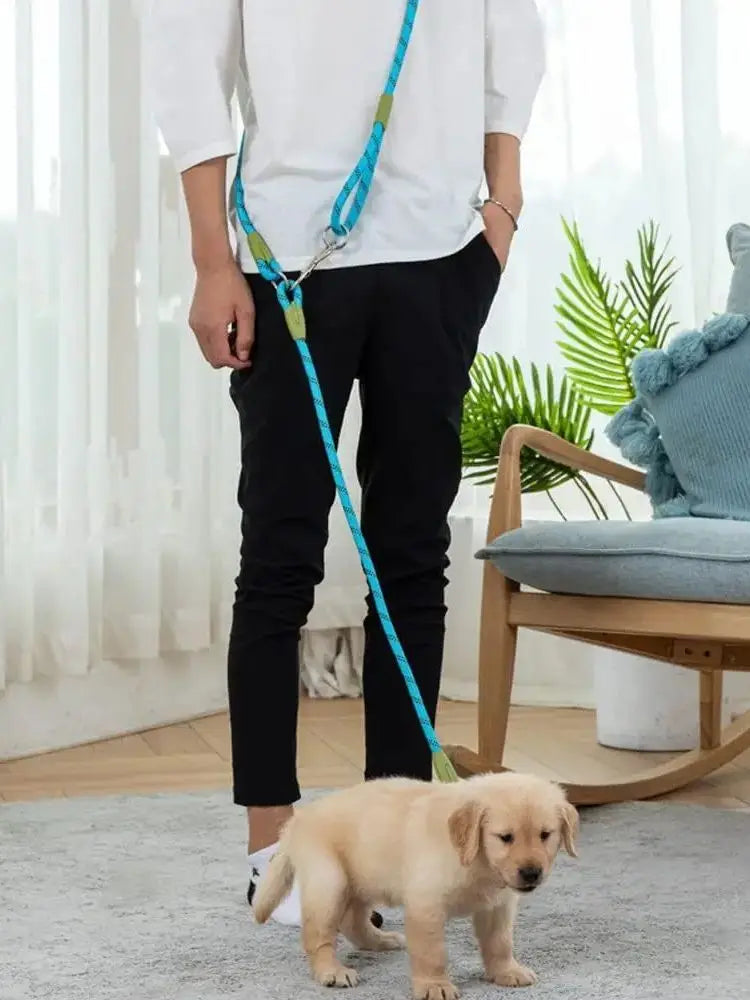 Dual/Double Dog Leash with Elastic Rope, Anti-Burst and Anti-Break, Pet Supplies, Suitable for Running with Your Dog, Features Dual Hook Design and Dual-Purpose Training Leash, Suitable for Small, Medium, and Large Dogs