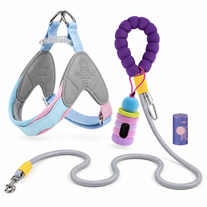 Wiggle Ready Dog Harness & Leash Set