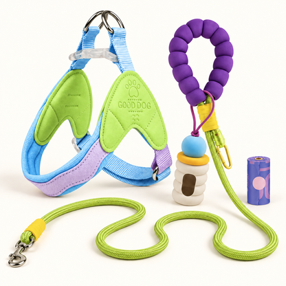 Wiggle Ready Dog Harness & Leash Set