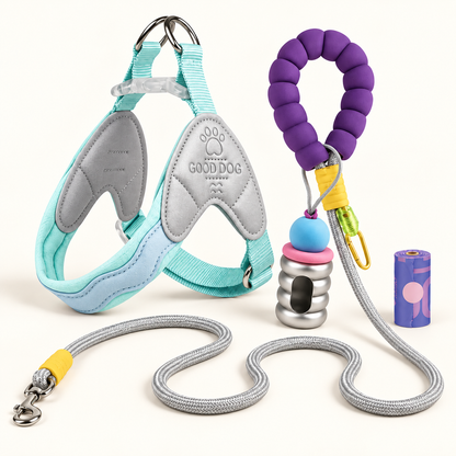 Wiggle Ready Dog Harness & Leash Set
