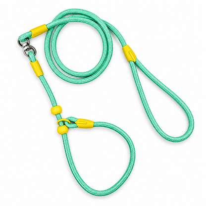 Wag Along Anti-Tangle Dog Leash
