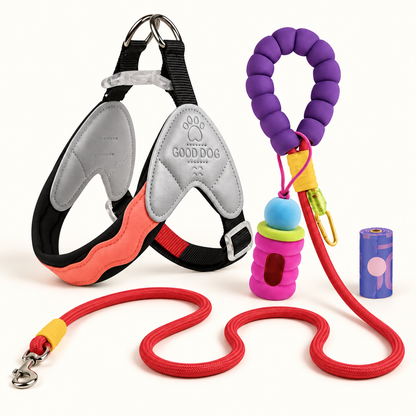 Wiggle Ready Dog Harness & Leash Set