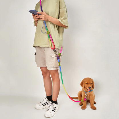 Rainbow Rover – Reflective Hands-Free Dog Leash