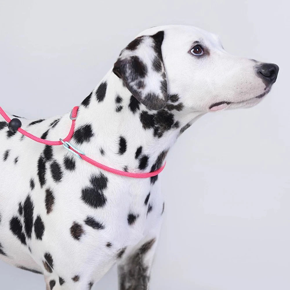 Pawloop Rope Slip Lead Dog Leash