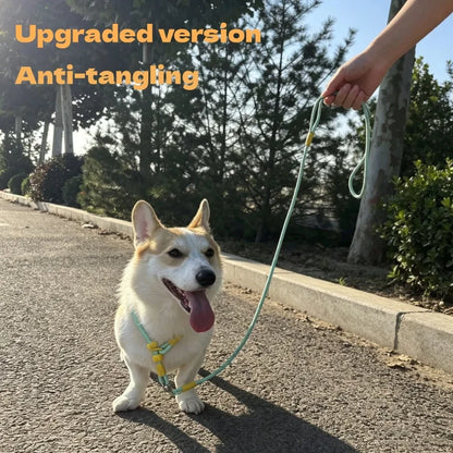 Wag-a-Doodle Adjustable Nylon Slip Lead Dog Leash