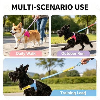 Waggle Galaxy – Colorblock Dog Harness & Leash Set