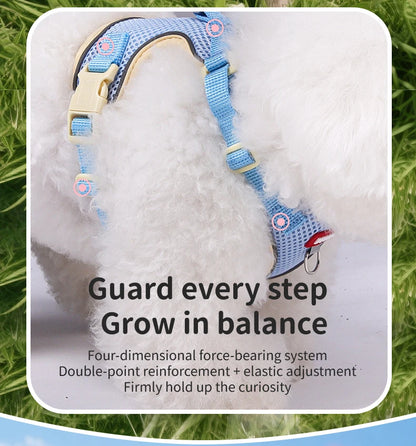 Purrfect Escape – Reflective Mesh Pet Harness & Leash Set