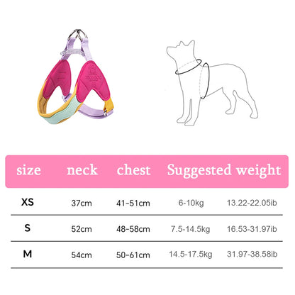 Pawparazzi – Color Pop Reflective Dog Harness