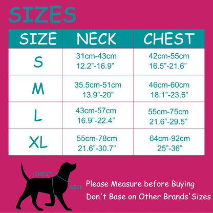 Pawzzle Pop – Colorblock Adjustable Dog Harness