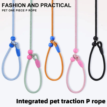 Wag-a-Doodle Adjustable Nylon Slip Lead Dog Leash