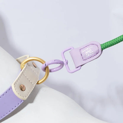 Switch & Stroll 2-in-1 Rope Dog Leash