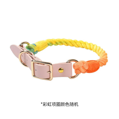 Wholesale Handmade Woven Colorful Pet Dog Leash Set Leather Dog Collar Supplies Cross-Border