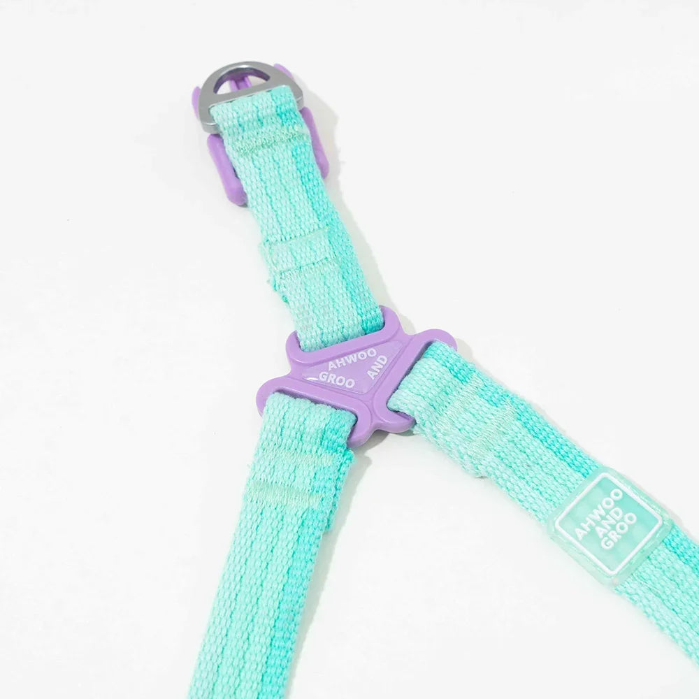 Breezy Pop Dog Harness & Leash Set