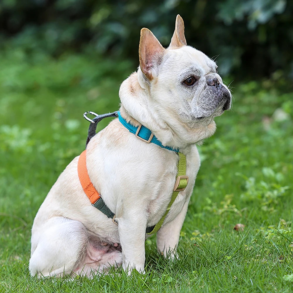 H-shaped Dog Harness,adjustable Explosion-proof Punching Dog Harness for Small Medium and Large Dogs for Training and Running