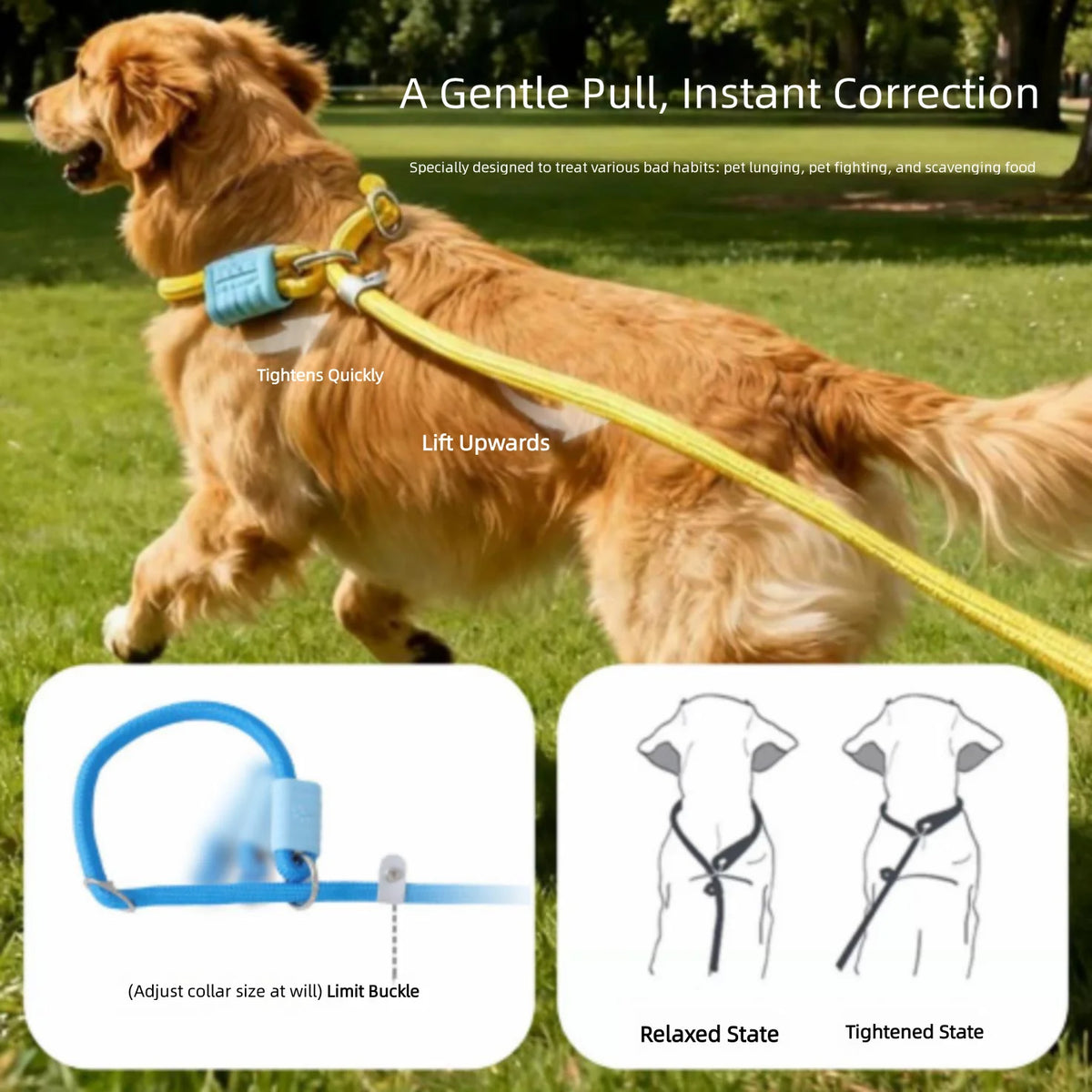 Dog leash that is resistant to chewing, adjustable and prevents escape - perfect for pet dog walking.