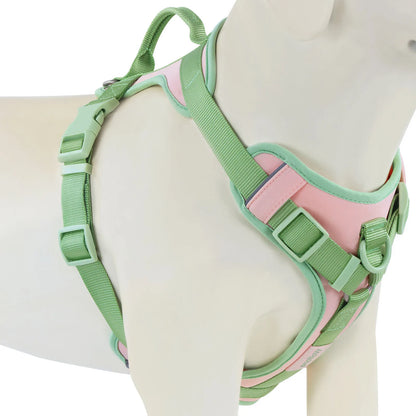 Pawzzle Pop – Colorblock Adjustable Dog Harness