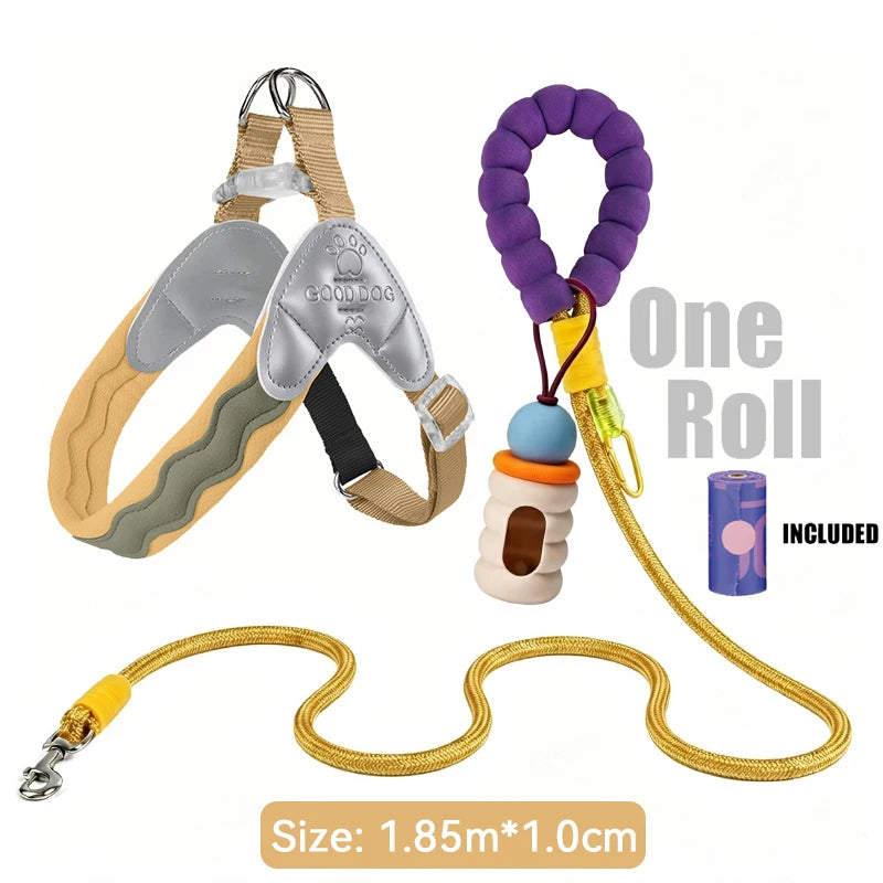 Waggle Galaxy – Colorblock Dog Harness & Leash Set