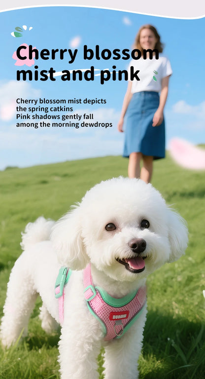 Purrfect Escape – Reflective Mesh Pet Harness & Leash Set