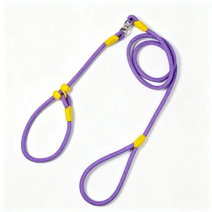 Wag-a-Doodle Adjustable Nylon Slip Lead Dog Leash