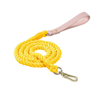 Wholesale Handmade Woven Colorful Pet Dog Leash Set Leather Dog Collar Supplies Cross-Border