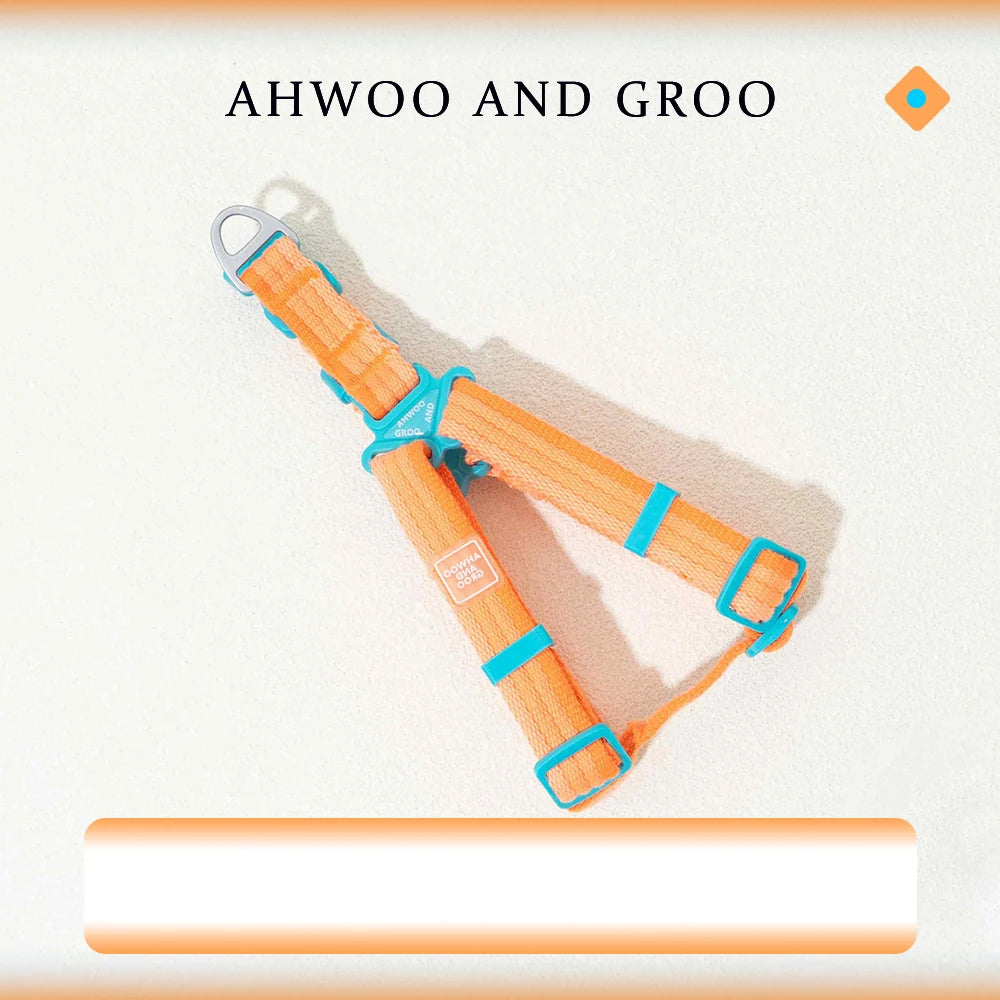 Breezy Pop Dog Harness & Leash Set