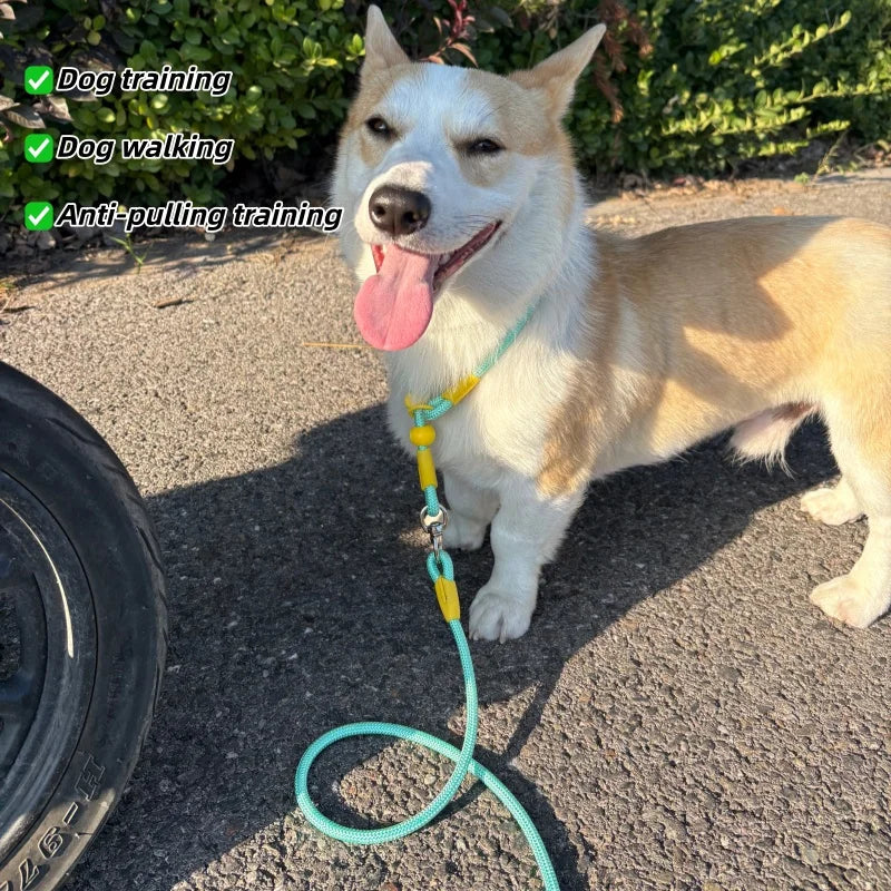 Wag-a-Doodle Adjustable Nylon Slip Lead Dog Leash