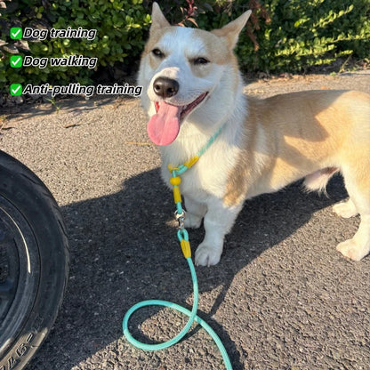Wag-a-Doodle Adjustable Nylon Slip Lead Dog Leash