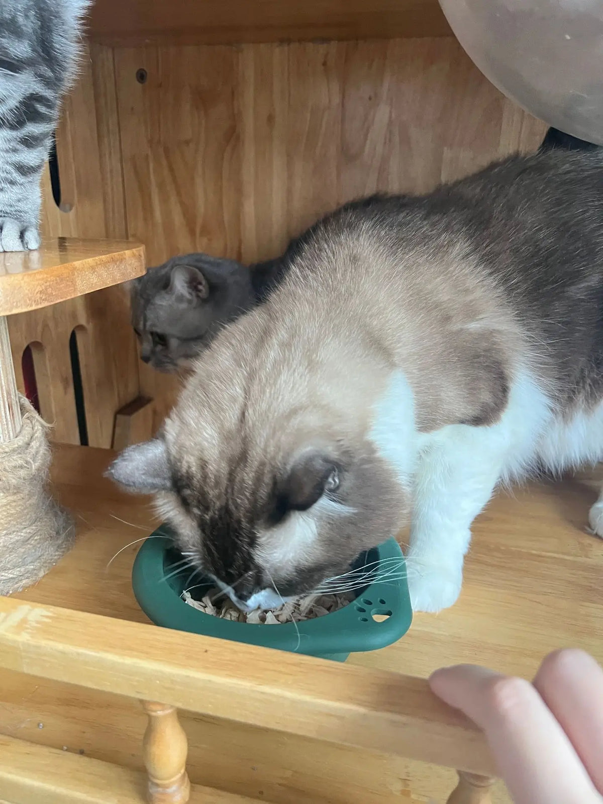 1/3PC Portable Collapsible Silicone Dog Cat Bowl Round Foldable Travel Food Water Bowl for Outdoor Feeding with Carabiner