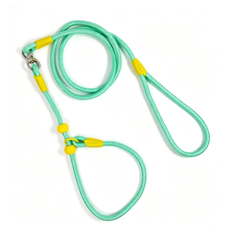 Wag-a-Doodle Adjustable Nylon Slip Lead Dog Leash
