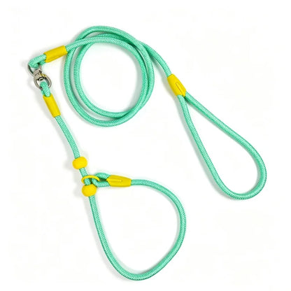 Wag-a-Doodle Adjustable Nylon Slip Lead Dog Leash