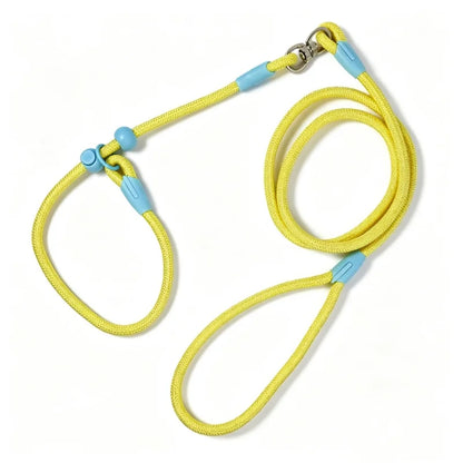 Wag-a-Doodle Adjustable Nylon Slip Lead Dog Leash