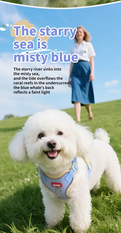 Purrfect Escape – Reflective Mesh Pet Harness & Leash Set