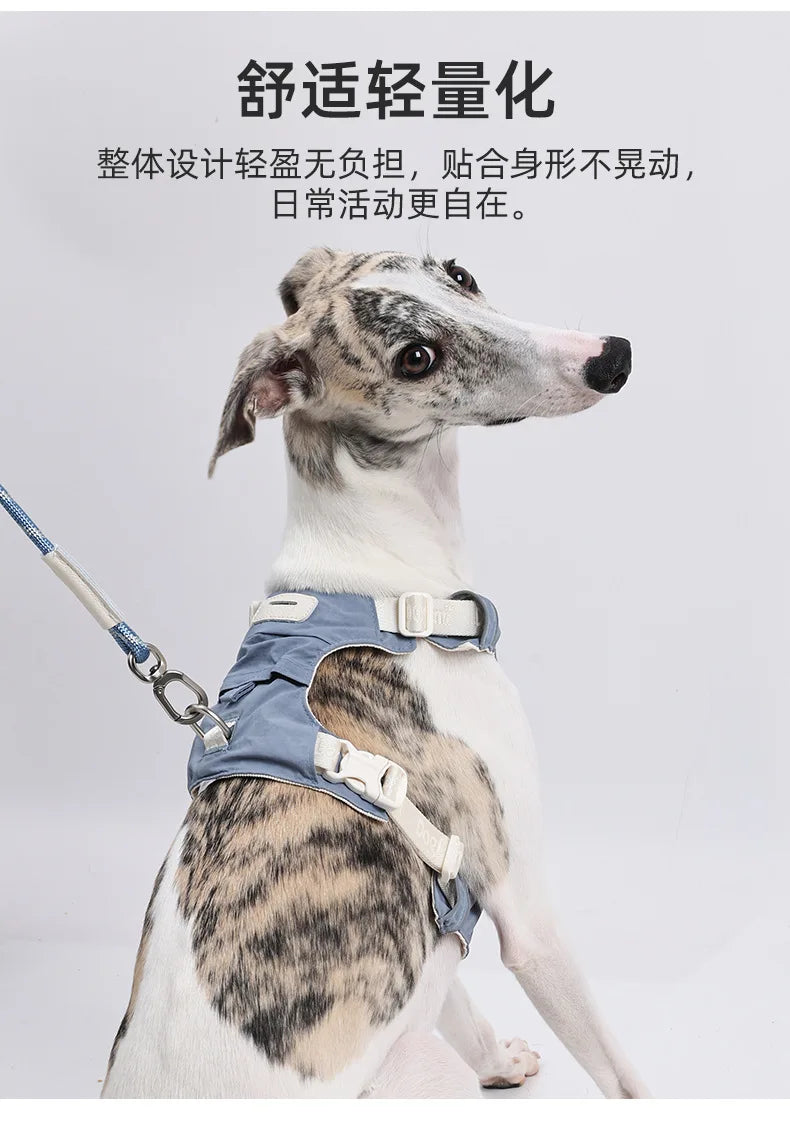 Dog leash, anti-shock dog chain, outdoor dog walking leash, detachable pet harness