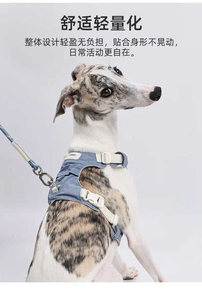 Dog leash, anti-shock dog chain, outdoor dog walking leash, detachable pet harness