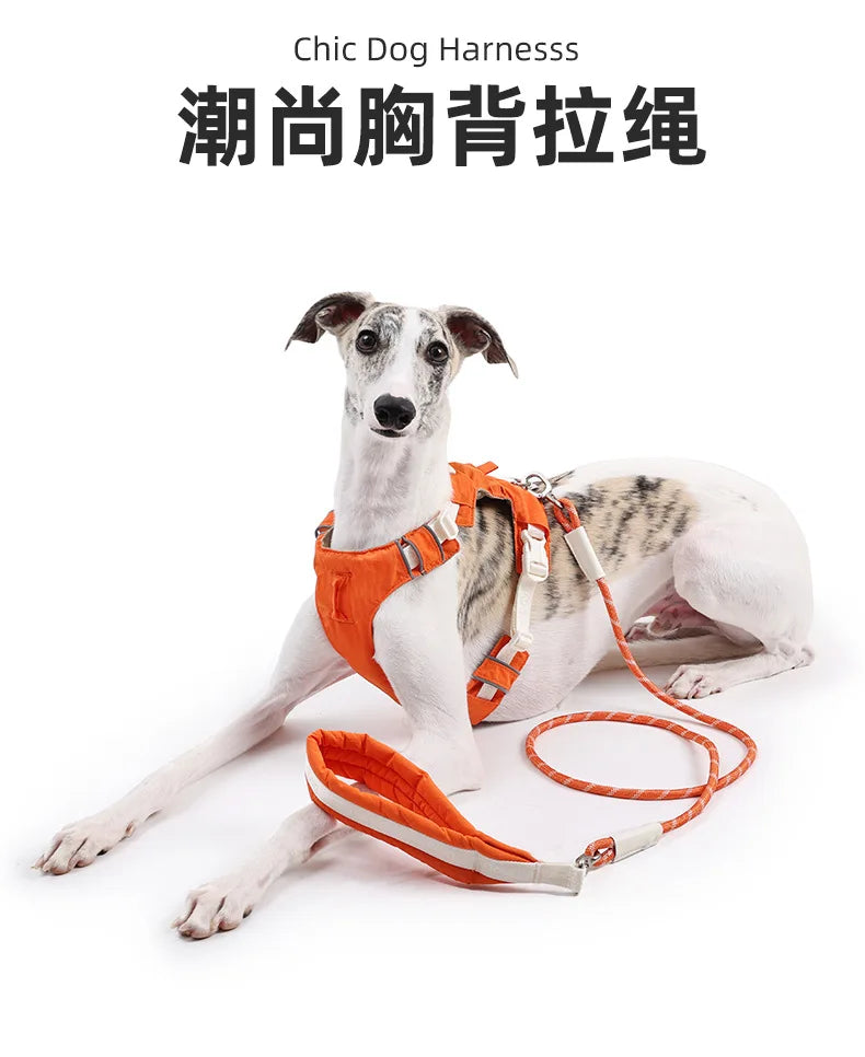 Dog leash, anti-shock dog chain, outdoor dog walking leash, detachable pet harness