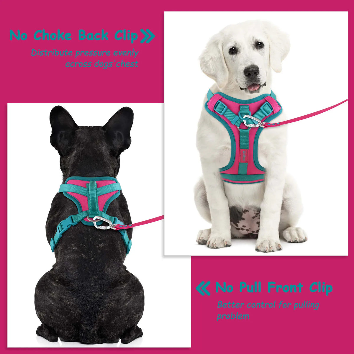 Pawzzle Pop – Colorblock Adjustable Dog Harness