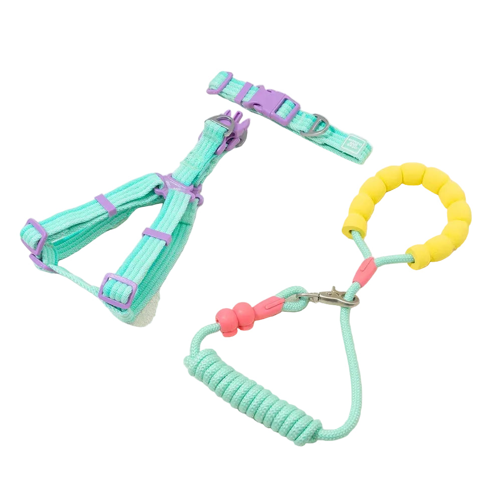 Breezy Pop Dog Harness & Leash Set
