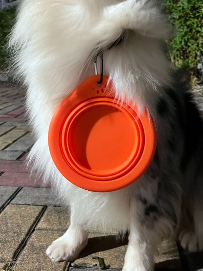 1/3PC Portable Collapsible Silicone Dog Cat Bowl Round Foldable Travel Food Water Bowl for Outdoor Feeding with Carabiner