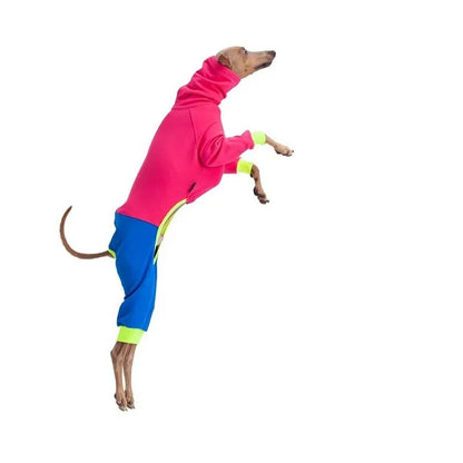 Warm Dog Clothes, High Neck Fleece Jumpsuit for Greyhound Whippet Dogs, Four-Legged Stretchy Pet Pajamas, Soft Full Body Clothes