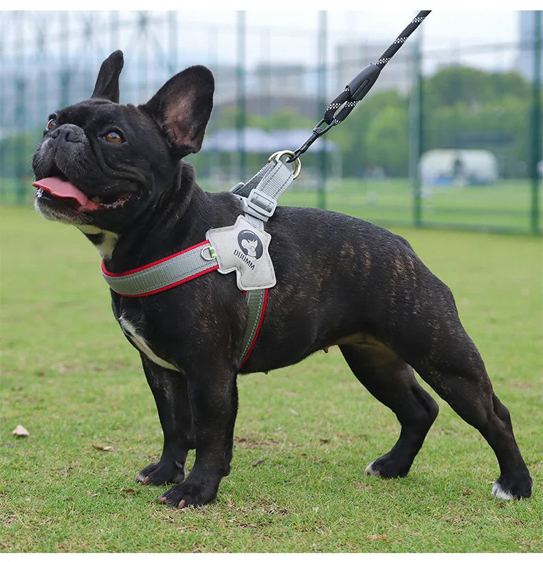 Y Shape Dog Harness Adjustable Reflective Pet Vest, Soft Padding Chest Support for Small Medium Large Dogs, Easy Walk Ou