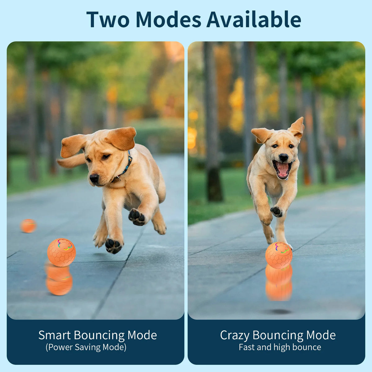 HaloBounce — Interactive Dog Ball