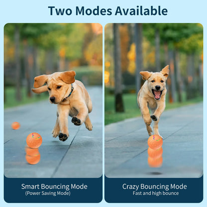 HaloBounce — Interactive Dog Ball