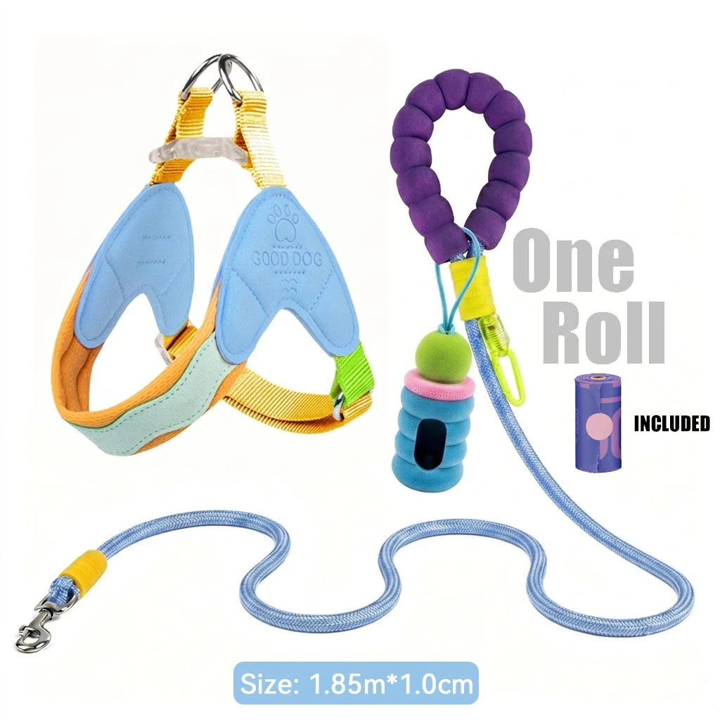 Waggle Galaxy – Colorblock Dog Harness & Leash Set