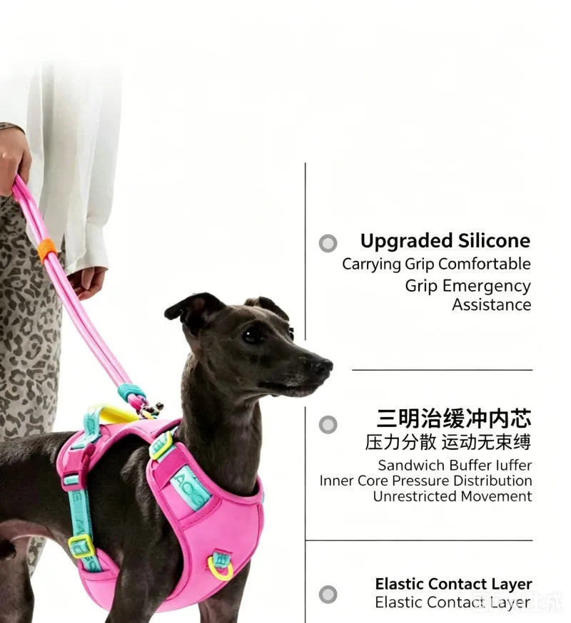 Pawfetti Dog Harness & Leash Set