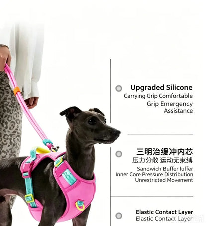 Pawfetti Dog Harness & Leash Set