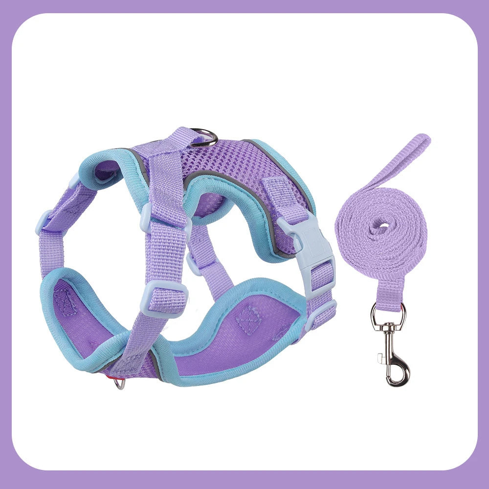 Purrfect Escape – Reflective Mesh Pet Harness & Leash Set