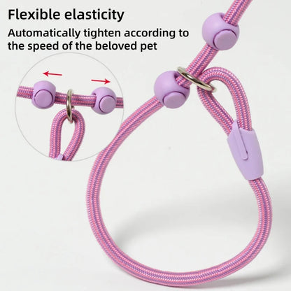 Wag-a-Doodle Adjustable Nylon Slip Lead Dog Leash