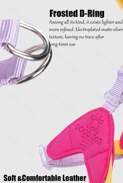 Waggle Galaxy – Colorblock Dog Harness & Leash Set