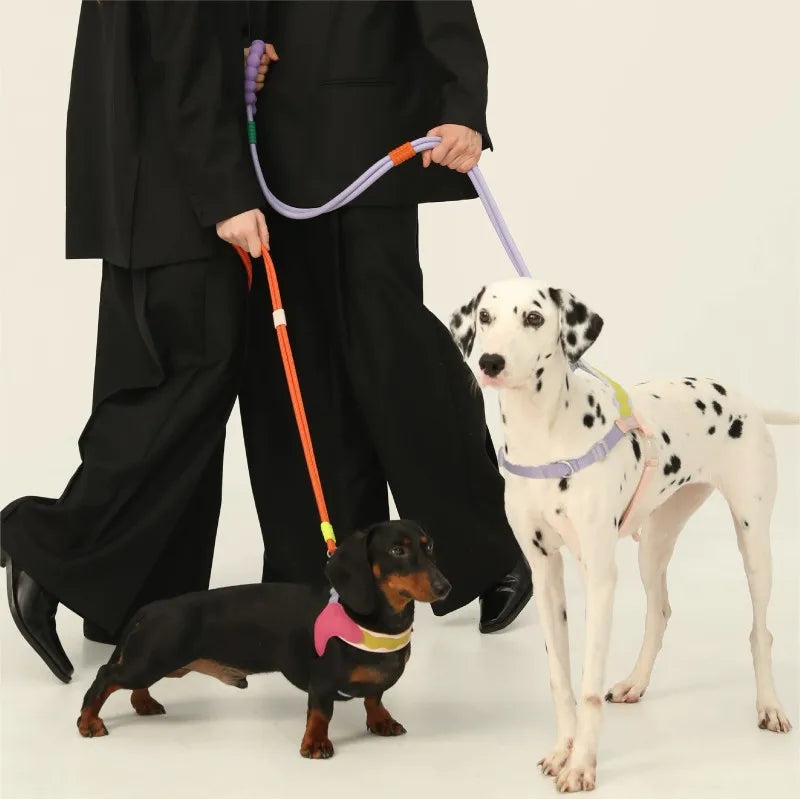 Pawfetti Dog Harness & Leash Set