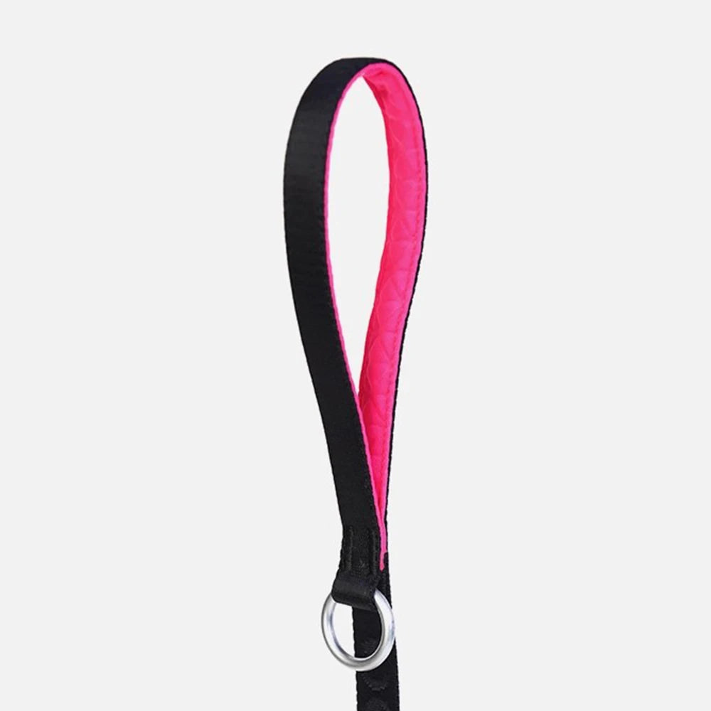 Pawloop Rope Slip Lead Dog Leash